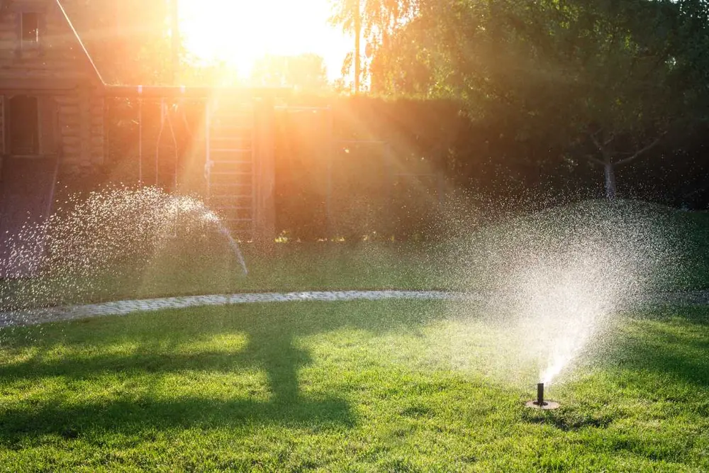 Asperseur escamotable en marche sur une pelouse au soleil couchant